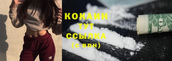 прущие грибы Богородицк