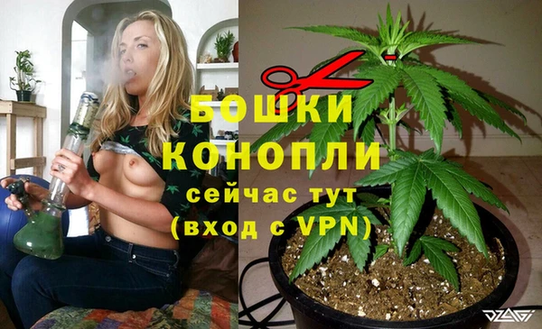 ешки Верея