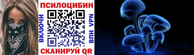 OMG ссылка  Донской  Галлюциногенные грибы прущие грибы 